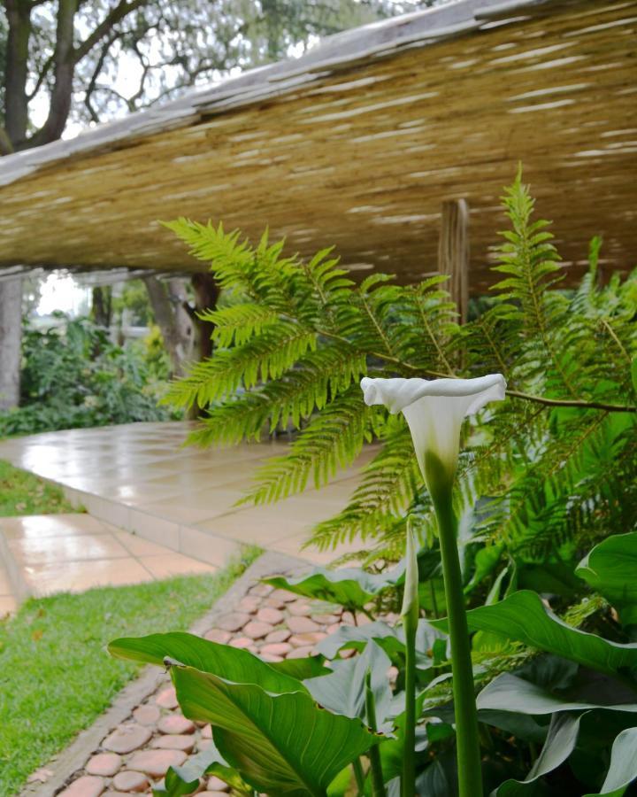 Highveld Splendour Boutique Bed And Breakfast Ermelo Exterior foto